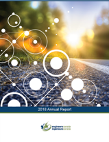 Annual report cover screenshot